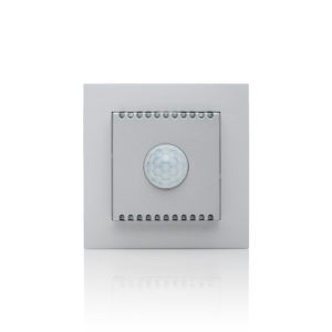 Eco Motion Detector AAA Silver